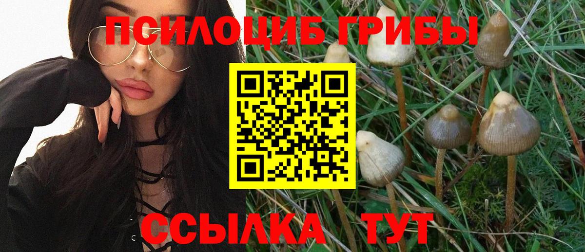 купить   Галлюциногенные грибы ЛСД  Псилоцибиновые грибы Psilocybine cubensis  Вход с VPN  Выкса 