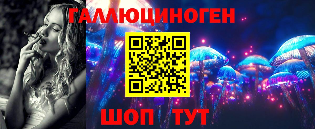Псилоцибиновые грибы Psilocybe Выкса